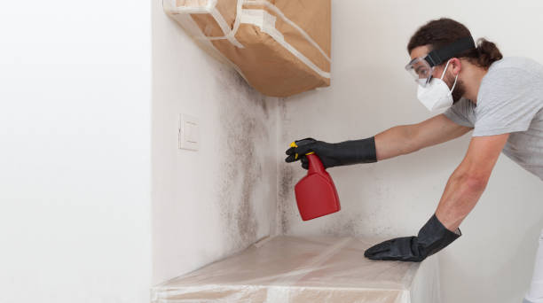 Professional Bathroom Mold Removal technician working in Warrington, FL
