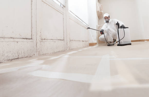 24/7 Emergency Bathroom Mold Removal experts in Warrington, FL