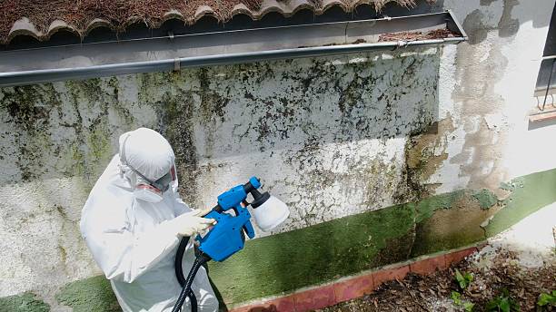 Top rated local Bathroom Mold Removal specialists in Warrington, FL